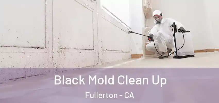  Black Mold Clean Up Fullerton - CA