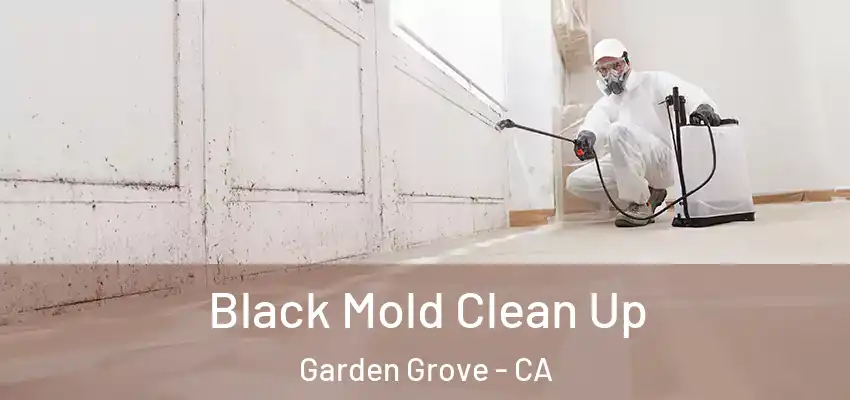  Black Mold Clean Up Garden Grove - CA