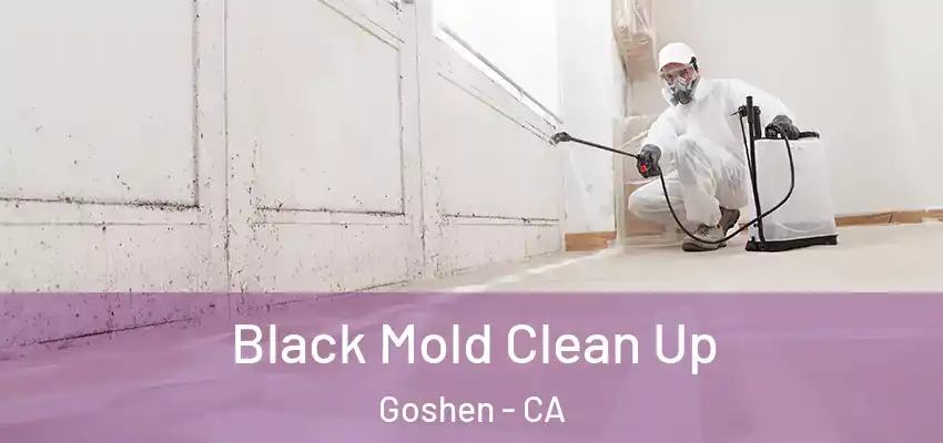  Black Mold Clean Up Goshen - CA