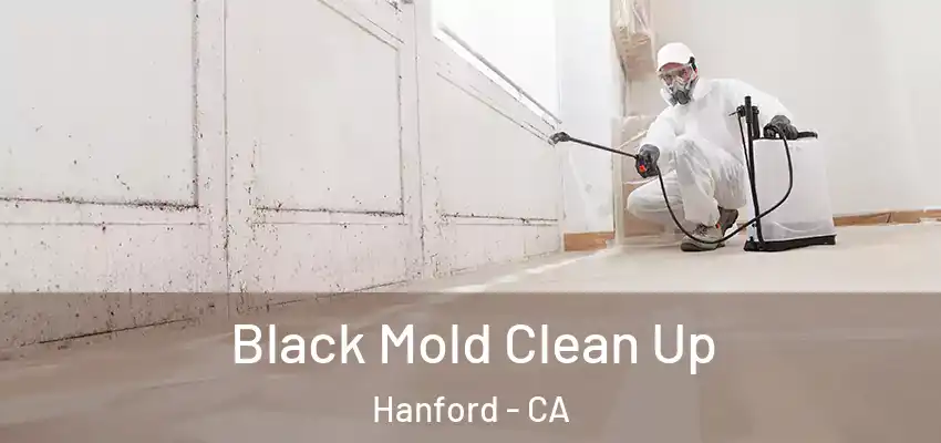  Black Mold Clean Up Hanford - CA