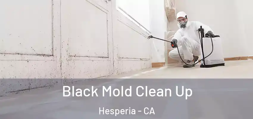  Black Mold Clean Up Hesperia - CA