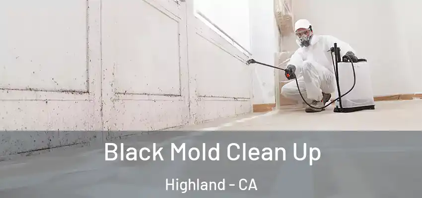  Black Mold Clean Up Highland - CA
