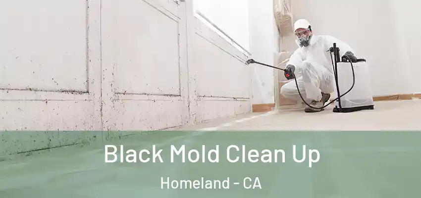 Black Mold Clean Up Homeland - CA