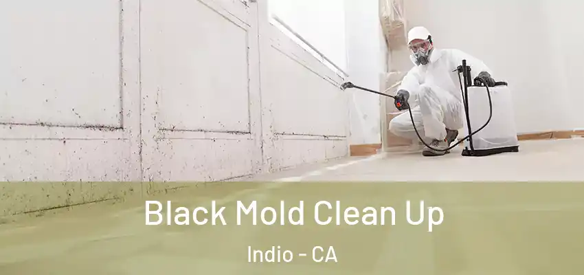  Black Mold Clean Up Indio - CA