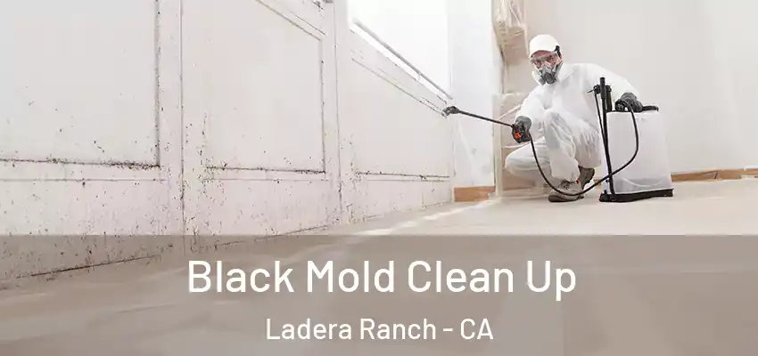  Black Mold Clean Up Ladera Ranch - CA