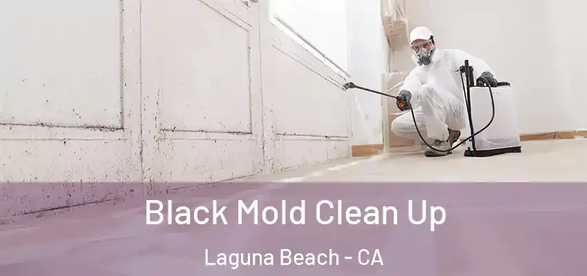  Black Mold Clean Up Laguna Beach - CA