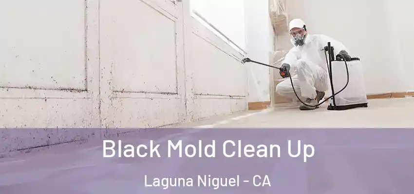  Black Mold Clean Up Laguna Niguel - CA