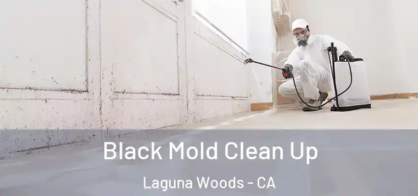  Black Mold Clean Up Laguna Woods - CA