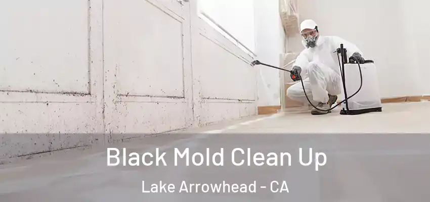  Black Mold Clean Up Lake Arrowhead - CA