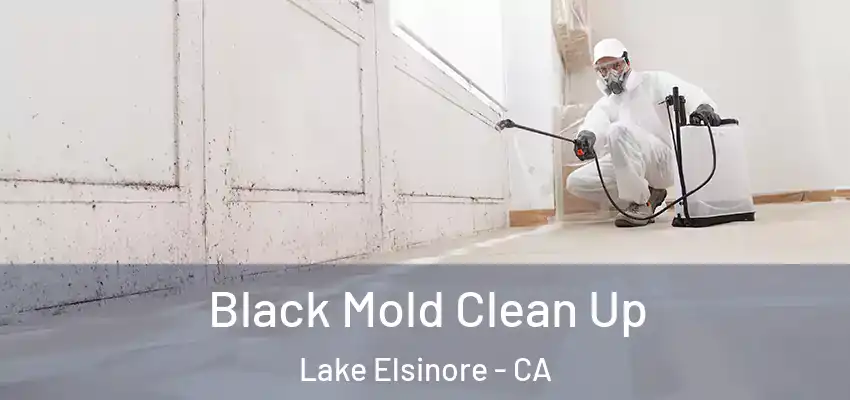  Black Mold Clean Up Lake Elsinore - CA