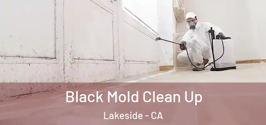  Black Mold Clean Up Lakeside - CA