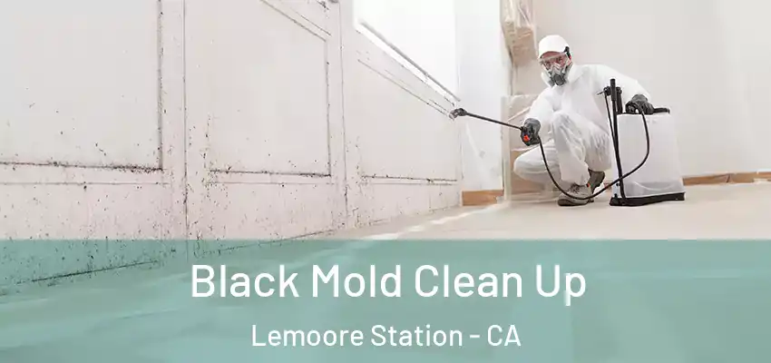  Black Mold Clean Up Lemoore Station - CA