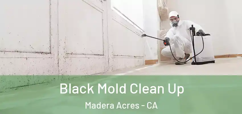  Black Mold Clean Up Madera Acres - CA