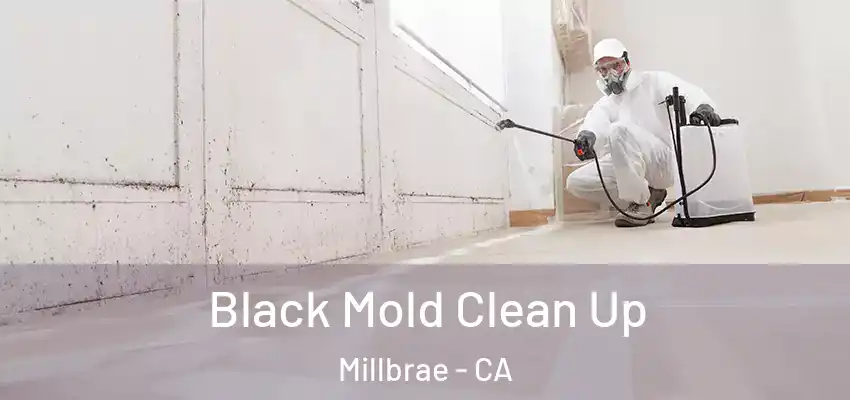  Black Mold Clean Up Millbrae - CA