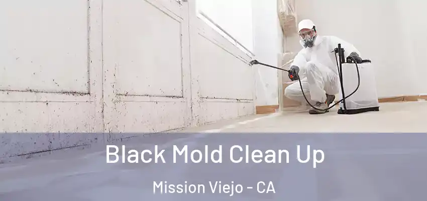  Black Mold Clean Up Mission Viejo - CA