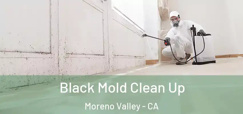  Black Mold Clean Up Moreno Valley - CA