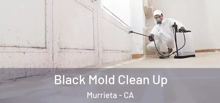  Black Mold Clean Up Murrieta - CA