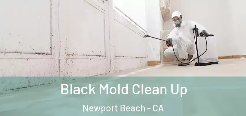  Black Mold Clean Up Newport Beach - CA