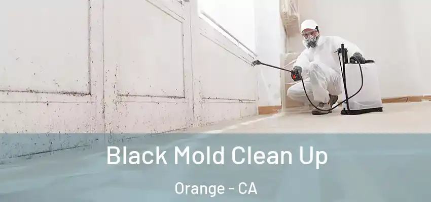  Black Mold Clean Up Orange - CA