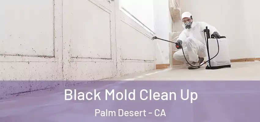  Black Mold Clean Up Palm Desert - CA