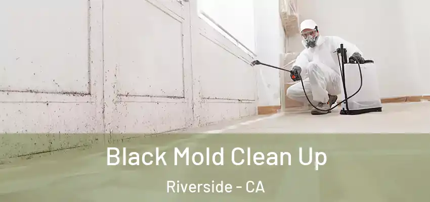  Black Mold Clean Up Riverside - CA