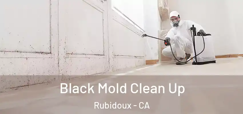  Black Mold Clean Up Rubidoux - CA