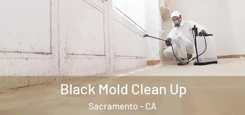  Black Mold Clean Up Sacramento - CA