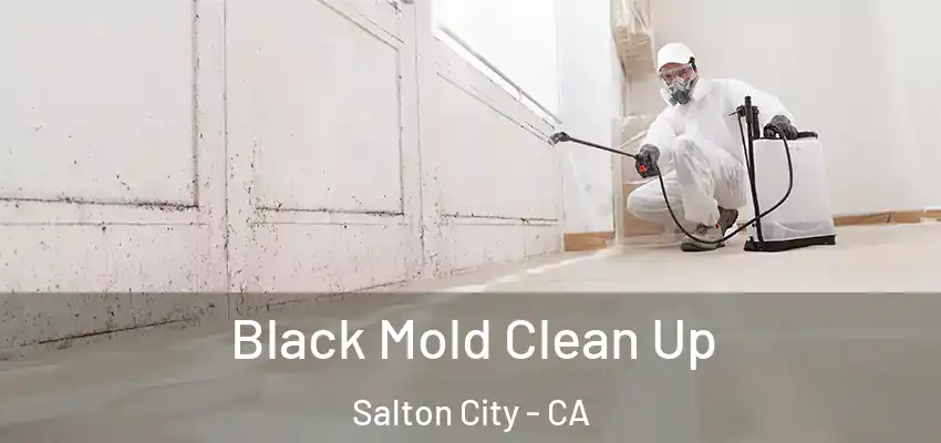  Black Mold Clean Up Salton City - CA