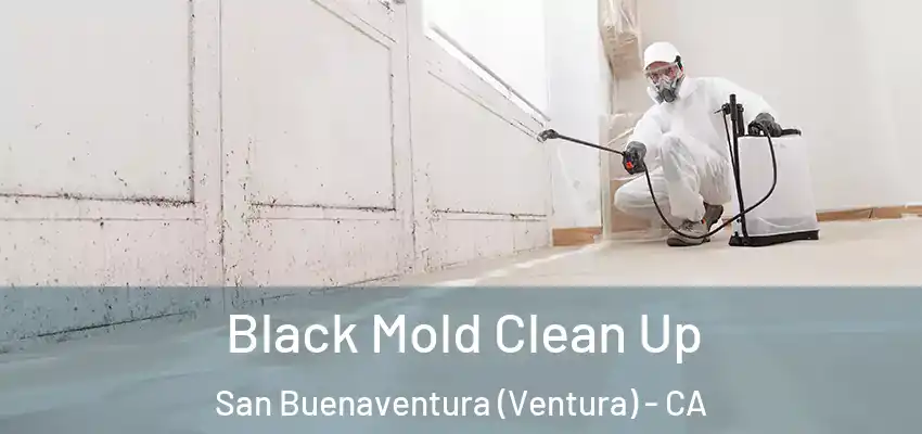  Black Mold Clean Up San Buenaventura (Ventura) - CA