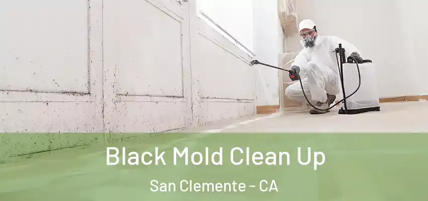  Black Mold Clean Up San Clemente - CA