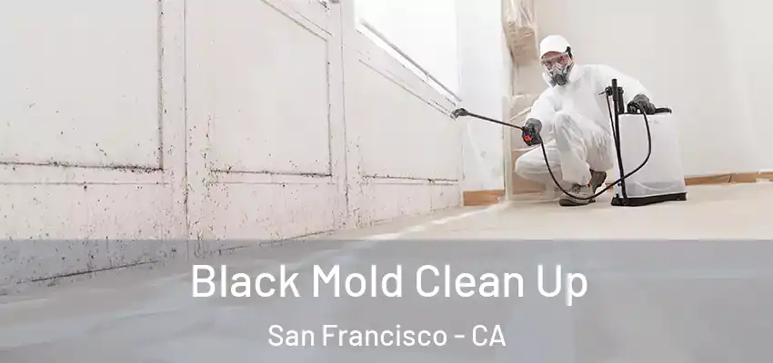  Black Mold Clean Up San Francisco - CA