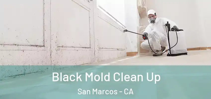  Black Mold Clean Up San Marcos - CA