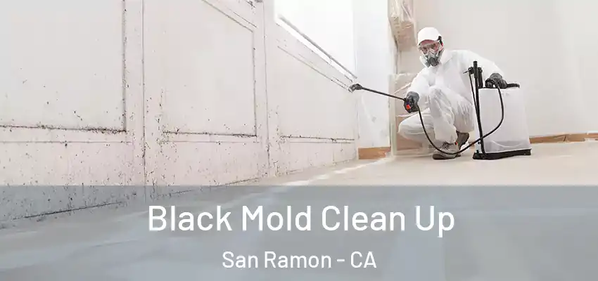  Black Mold Clean Up San Ramon - CA