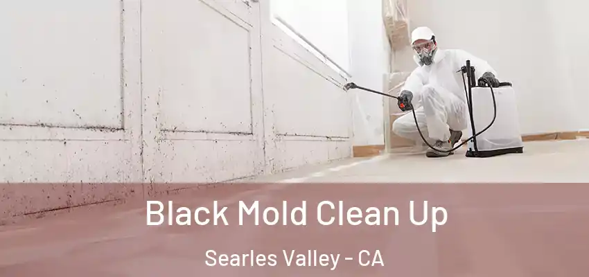  Black Mold Clean Up Searles Valley - CA