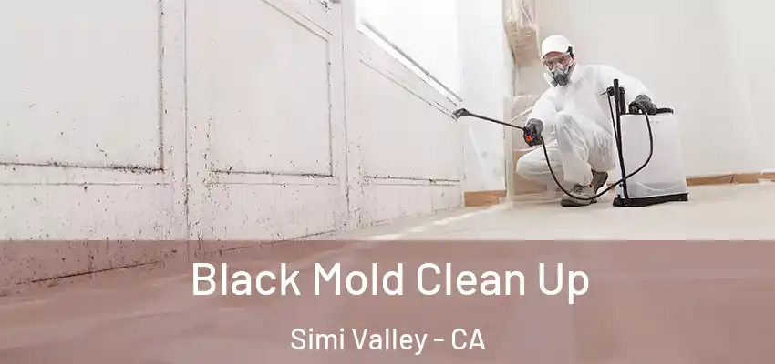  Black Mold Clean Up Simi Valley - CA