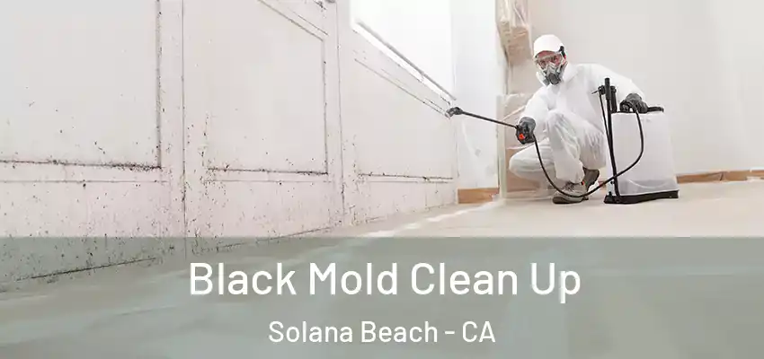  Black Mold Clean Up Solana Beach - CA
