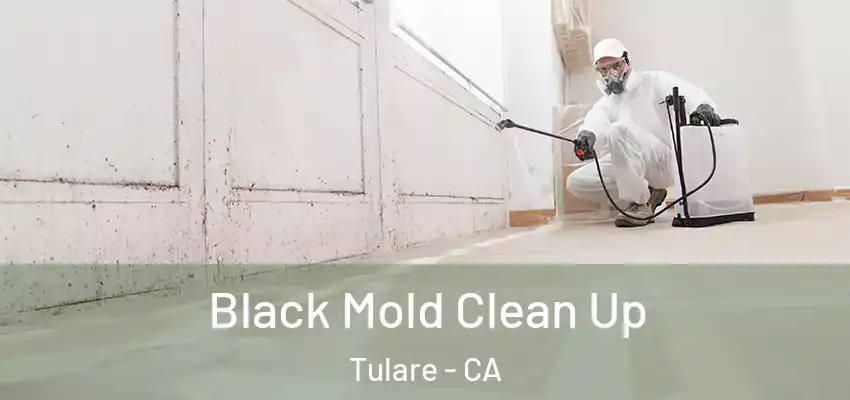 Black Mold Clean Up Tulare - CA