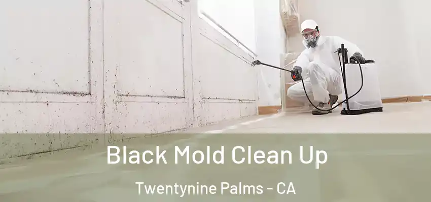  Black Mold Clean Up Twentynine Palms - CA