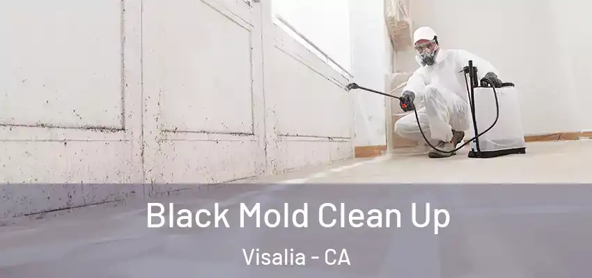  Black Mold Clean Up Visalia - CA