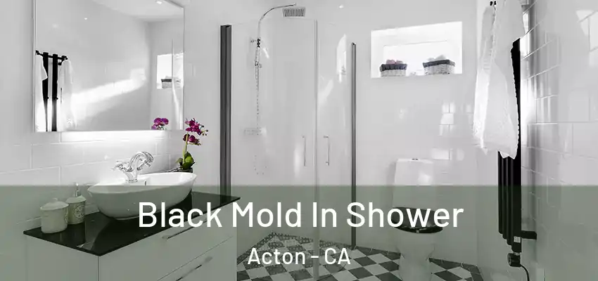 Black Mold In Shower Acton - CA