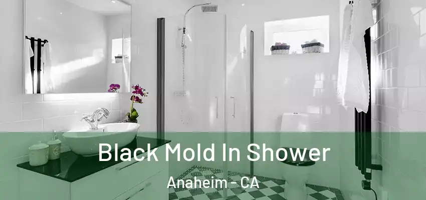  Black Mold In Shower Anaheim - CA
