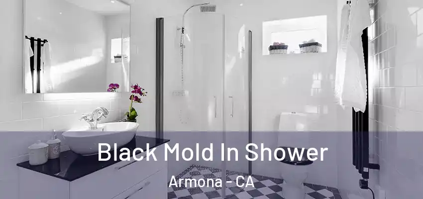  Black Mold In Shower Armona - CA