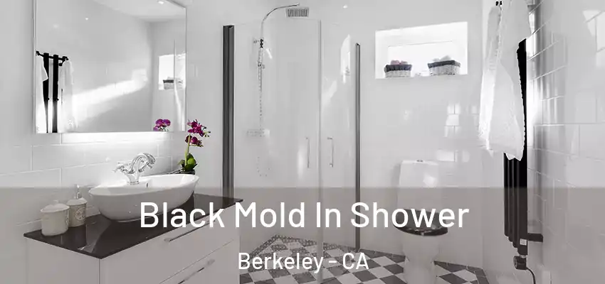  Black Mold In Shower Berkeley - CA