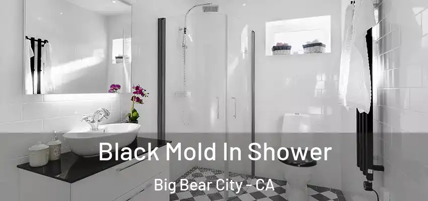  Black Mold In Shower Big Bear City - CA