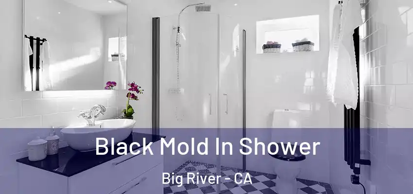  Black Mold In Shower Big River - CA