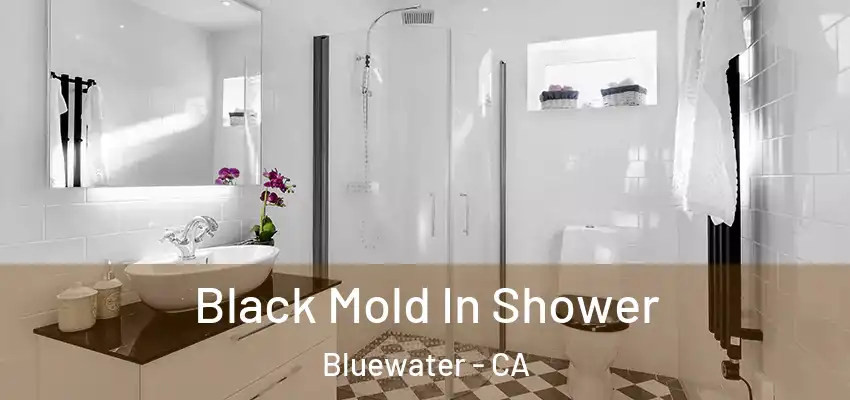  Black Mold In Shower Bluewater - CA