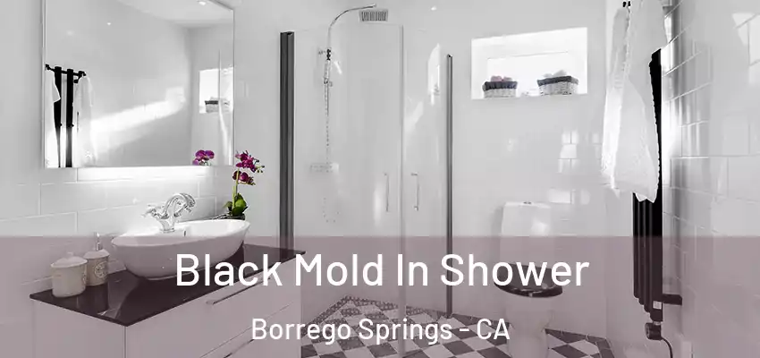  Black Mold In Shower Borrego Springs - CA