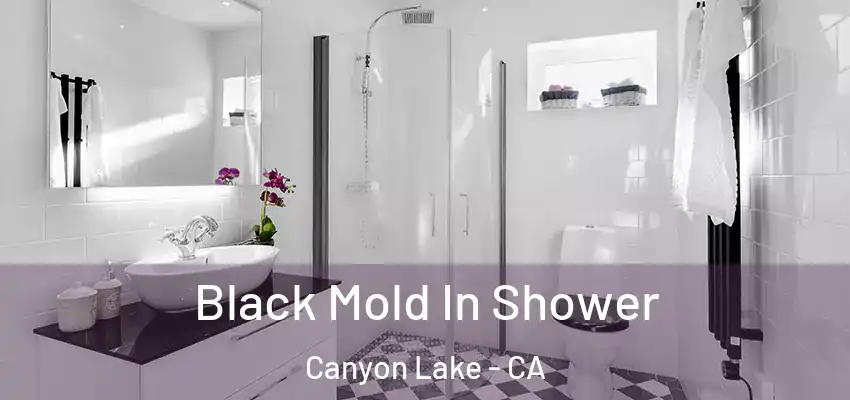  Black Mold In Shower Canyon Lake - CA