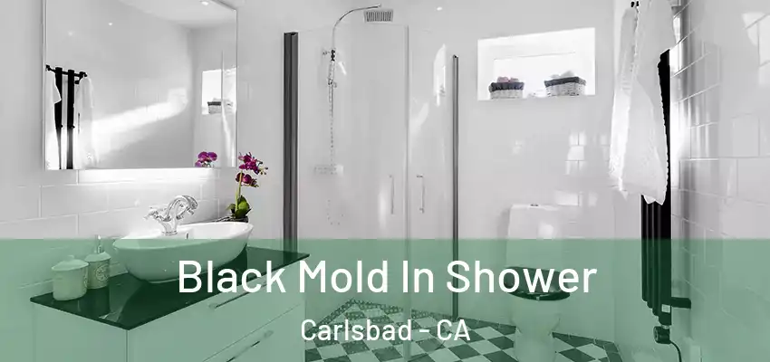  Black Mold In Shower Carlsbad - CA