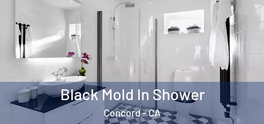  Black Mold In Shower Concord - CA